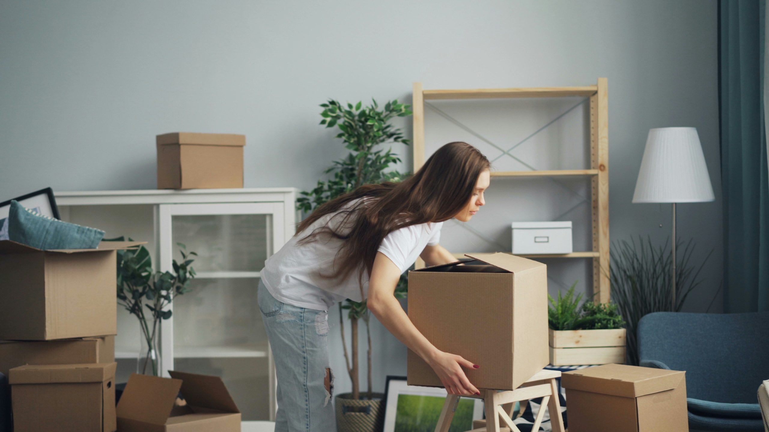 Brian C Johnson Moving Photo Banner